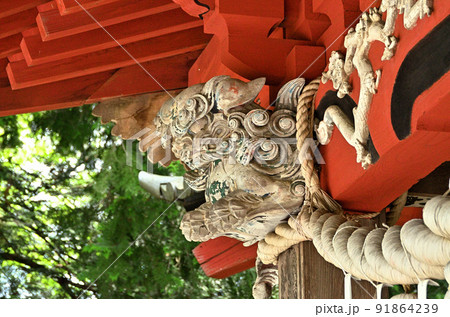 埼玉県秩父市下吉田 椋(むく)神社の守護神 埼玉県秩父市下吉田 椋(むく)神社の守護神 91864239
