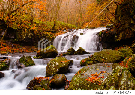 蓼科大滝（秋） 91864827