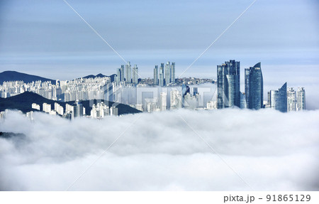 自然 風景 景色 91865129