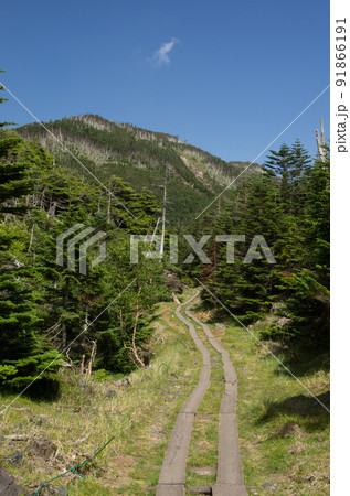北八ヶ岳の坪庭自然園にある遊歩道と縞枯山 北八ヶ岳の坪庭自然園にある遊歩道と縞枯山 91866191