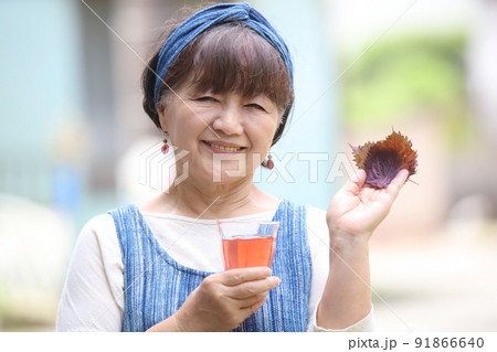 紫蘇ジュースを持つ女性 91866640