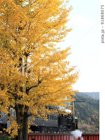 静岡県の大井川に架かる鉄橋を走行する大井川鐵道のSL 静岡県の大井川に架かる鉄橋を走行する大井川鐵道のSL 91868075