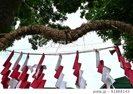 埼玉県秩父市下吉田 椋(むく)神社 夫婦和合の御神木 埼玉県秩父市下吉田 椋(むく)神社 夫婦和合の御神木 91868143