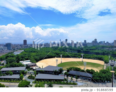 大阪城公園 91868599