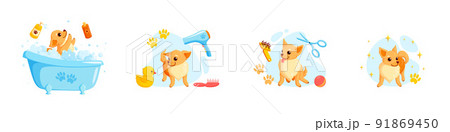 Dog grooming in a bath with pet shampoo, combs and rubber ducks. Playful chihuahua puppy in grooming service. Vector illustration Dog grooming in a bath with pet shampoo, combs and rubber ducks. Playful chihuahua puppy in grooming service. Vector illustration 91869450