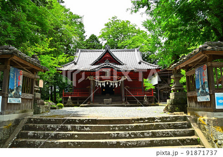 埼玉県秩父市下吉田　椋(むく)神社 91871737