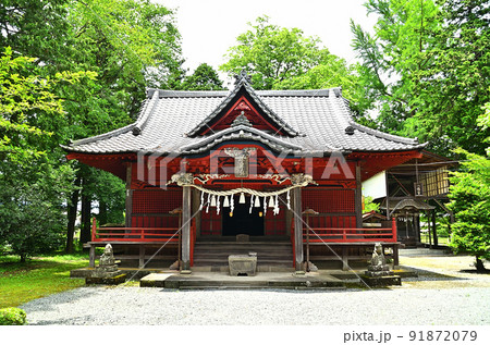 埼玉県秩父市下吉田 椋(むく)神社 埼玉県秩父市下吉田 椋(むく)神社 91872079