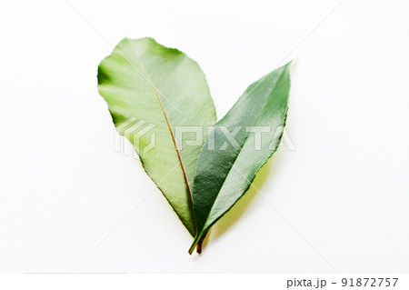 重なった2枚の葉っぱの写真素材 [91872757] - PIXTA