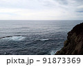 海と崖　景色 91873369