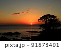 神奈川県立石公園で見た夕日 91873491
