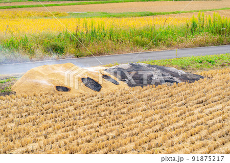 【秋素材】燻炭作り【長野県】 【秋素材】燻炭作り【長野県】 91875217