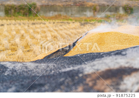 【秋素材】燻炭作り【長野県】 91875225