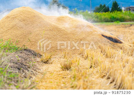 【秋素材】燻炭作り【長野県】 【秋素材】燻炭作り【長野県】 91875230