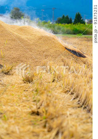 【秋素材】燻炭作り【長野県】 【秋素材】燻炭作り【長野県】 91875231