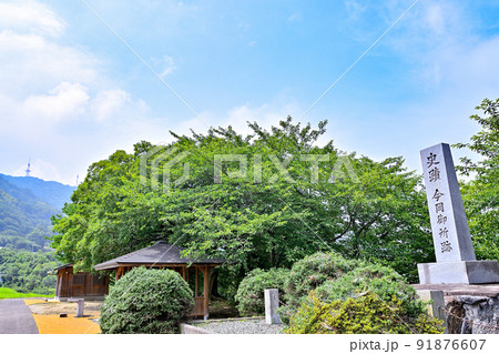 今岡御所跡 今岡御所跡 91876607