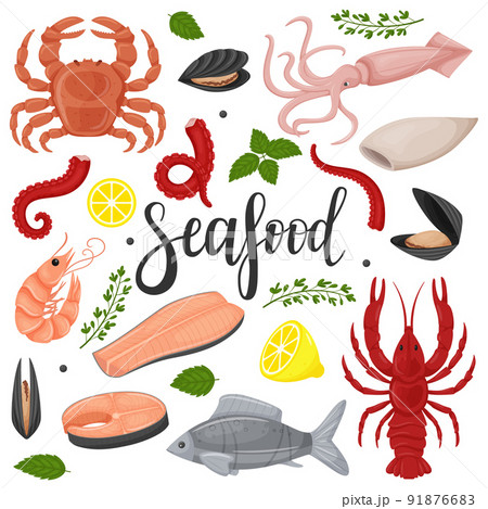 A set of sea food. Squid, octopus, red fish, fillet,mussels, crab, crayfish, lemon, green twigs. A collection in a flat cartoon style. Color vector illustration isolated on a white background. A set of sea food. Squid, octopus, red fish, fillet,mussels, crab, crayfish, lemon, green twigs. A collection in a flat cartoon style. Color vector illustration isolated on a white background. 91876683