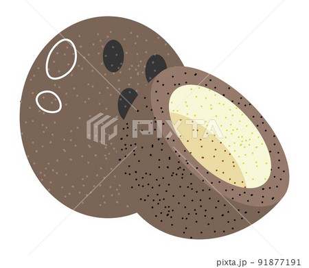 Coconut tropical exotic fruit with milk vector 91877191