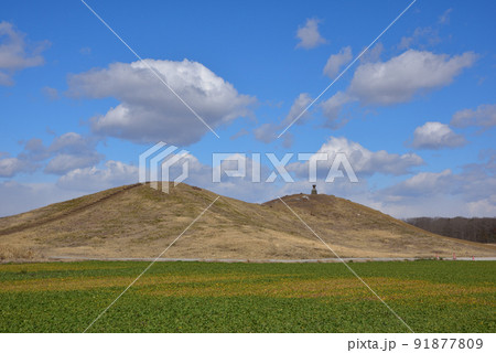 栃木県小山市琵琶塚古墳 栃木県小山市琵琶塚古墳 91877809