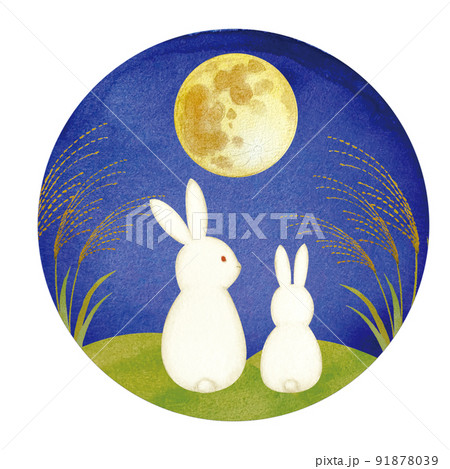 十五夜の月夜のススキの野原でお月見をするうさぎの親子とお供物 91878039