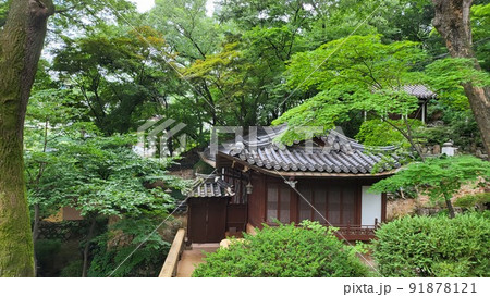 吉祥寺 城北区 寺院 91878121