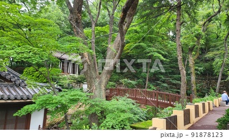 吉祥寺 城北区 寺院 91878123