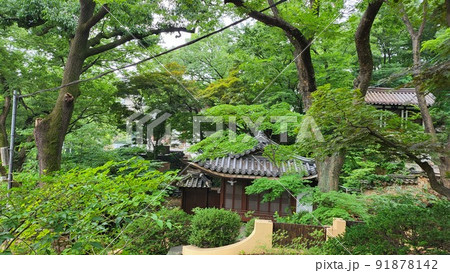 吉祥寺 城北区 寺院 91878142