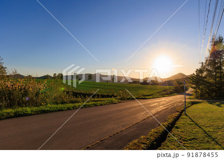 夕日に染まる北海道の草原 91878455