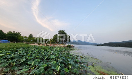 ヅムルモリ ヤンスリ 北漢江 91878832