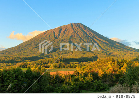 秋が訪れたススキと羊蹄山 秋が訪れたススキと羊蹄山 91878979