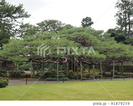 兼六園 兼六園 91879259