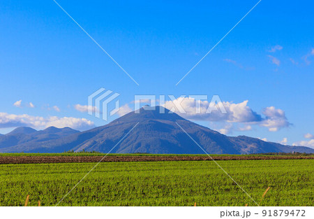 秋が訪れた羊蹄山 秋が訪れた羊蹄山 91879472