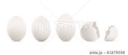 Chicken eggs with whole and cracked shell, realistic mockup vector isolated. Chicken eggs with whole and cracked shell, realistic mockup vector isolated. 91879598