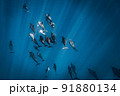 大きな野生のイルカの群れ  91880134