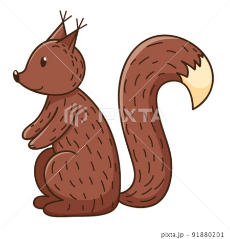 A simple cute squirrel. A forest wild mammal.... - Stock Illustration  [91880201] - PIXTA