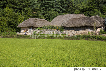 自然 風景 景色 91880370