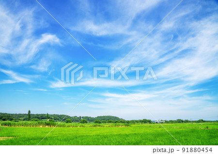 田園風景 田園風景 91880454