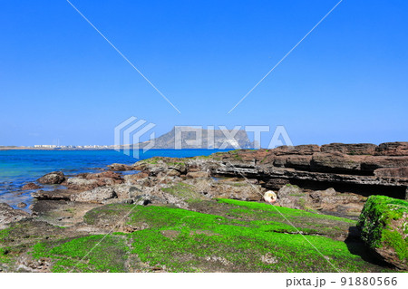 済州島 夏 海 91880566