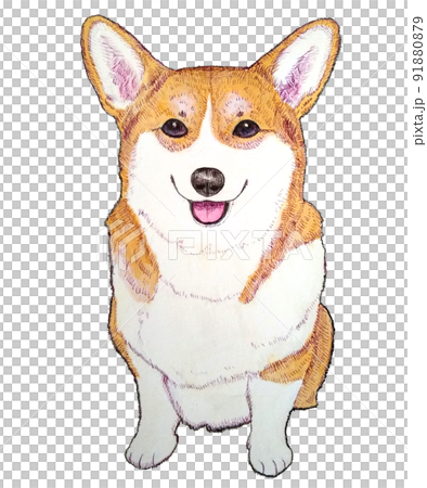 Sitting corgi 91880879