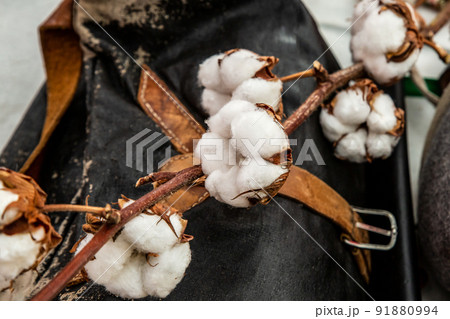 branch of white cotton flower close-up on blurred background of old leather bag branch of white cotton flower close-up on blurred background of old leather bag 91880994