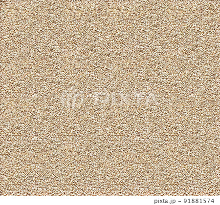barley grain light beige background, base for brewing ale and beer barley grain light beige background, base for brewing ale and beer 91881574