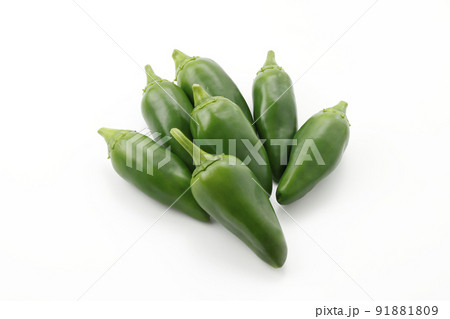 こどもピーマン 91881809