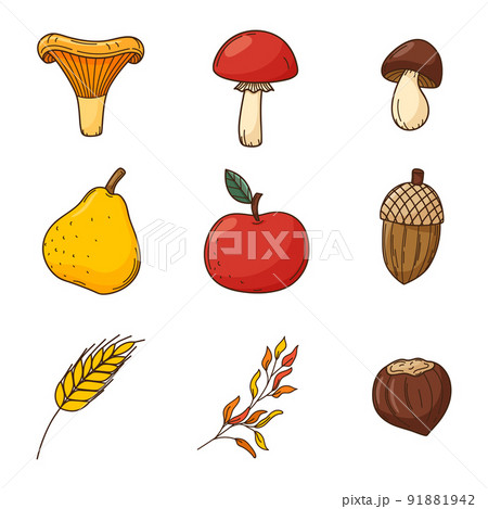 A set of colored doodles. Forest mushrooms, acorns, nuts, harvest. Autumn decorative elements with outline and fill. Color vector illustration isolated on a white background. 91881942