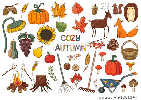 A set of elements on the theme of autumn. Forest animals, harvest. A large design collection of colored doodle elements with a stroke and fill. Flat. Vector illustration. Isolated on white 91881947