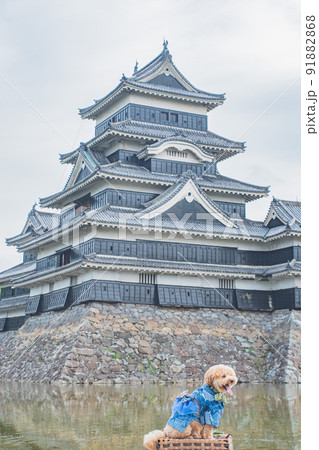 松本城と犬 91882868