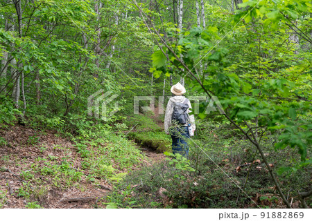 乗鞍高原 一の瀬園地ハイキングコース 乗鞍高原 一の瀬園地ハイキングコース 91882869