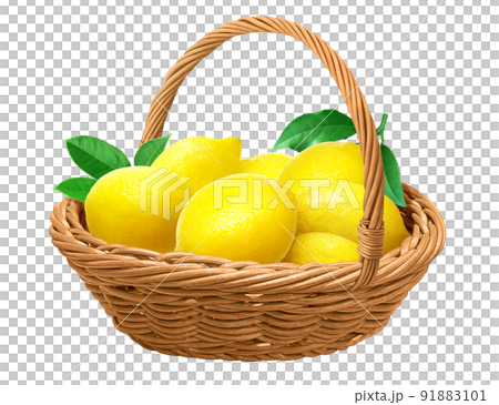 レモン 檸檬 イラスト リアル セットのイラスト素材