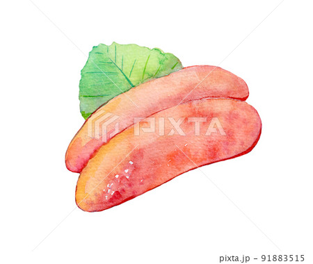 からし明太子　水彩イラスト 91883515