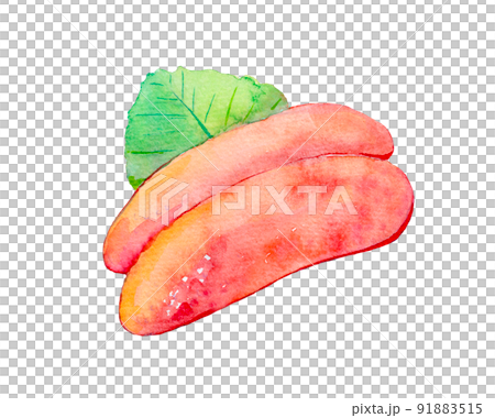Water mustard mentaiko watercolor illustration 91883515