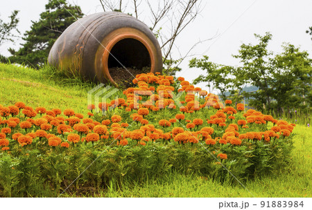 自然 風景 景色 91883984