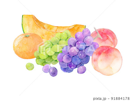 お中元　果物セット　水彩イラスト 91884178